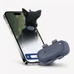 pet gps collar