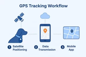 gps tracking workflow